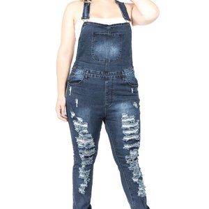 Plus Size Distressed Denim Overall